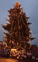 Pod osvětleným stromem u školy se objevují vánoční přání&hellip;