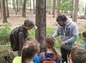 3.třída zkoumá les