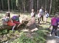3.třída zkoumá les
